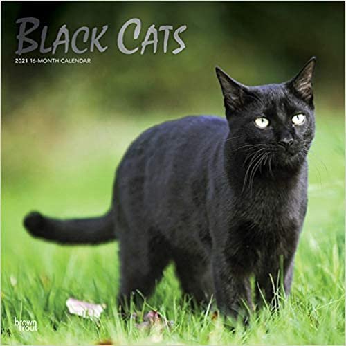 Black Cats - Schwarze Katzen 2021 - 18-Monatskalender: Original BrownTrout-Kalender [Mehrsprachig] [Kalender]