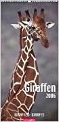 Giraffen 2006. indir