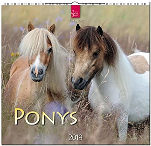 MF-Kalender PONYS 2019 indir