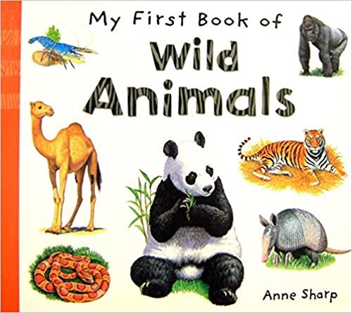 My First Book of Wild Animals BB