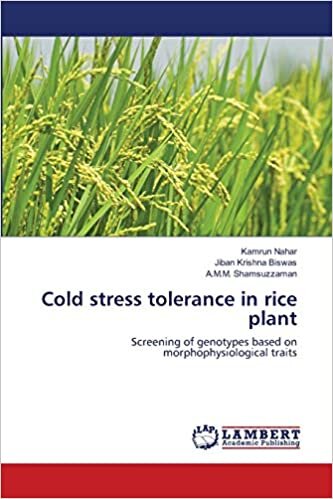 Cold stress tolerance in rice plant: Screening of genotypes based on morphophysiological traits indir