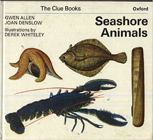 Seashore Animals (Clue Books) indir