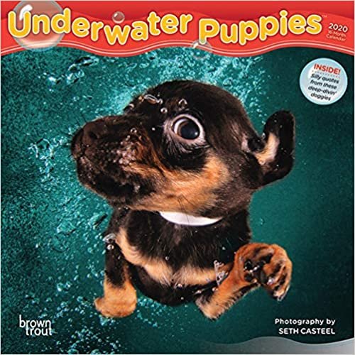 Underwater Puppies 2020 Mini Wall Calendar