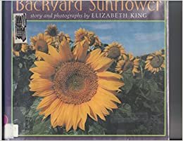 Backyard Sunflower