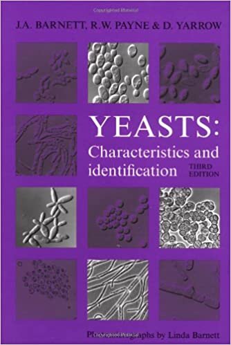 Yeasts: Characteristics and Identification indir
