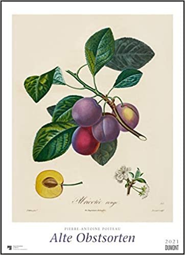 Pierre Antoine Poiteau: Alte Obstsorten 2021 - DUMONT Kunst-Kalender - Poster-Format 49,5 x 68,5 cm