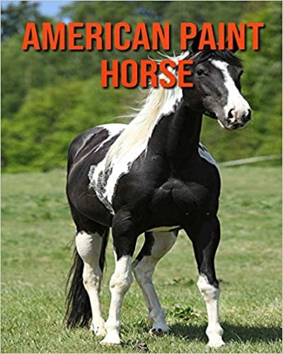 American Paint Horse: Children Book of Fun Facts & Amazing Photos