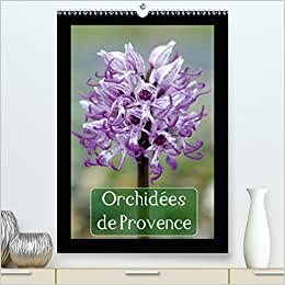 Orchidées de Provence (Premium, hochwertiger DIN A2 Wandkalender 2021, Kunstdruck in Hochglanz): Orchidées rencontrées dans les Alpilles et le Luberon (Calendrier mensuel, 14 Pages ) (CALVENDO Places)