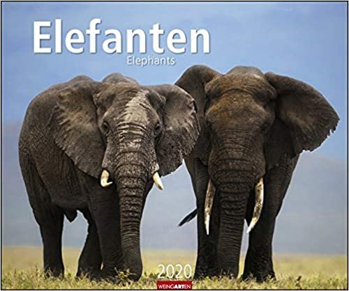Elefanten - Kalender 2020