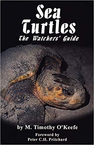 Sea Turtles: The Watchers' Guide indir