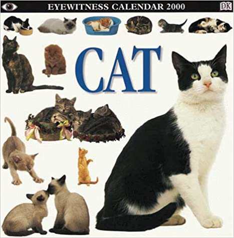 Cat Eyewitness Calendar 2000