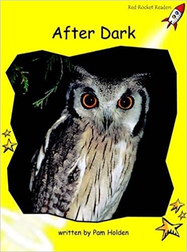 After Dark (Early Level 2 Non-Fiction Set B)