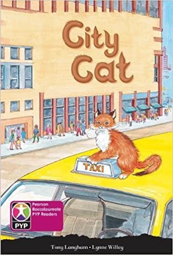 City Cat Pearson Yayınları