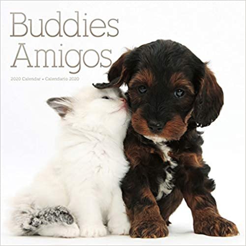 Buddies 2020 Calendar / Amigos 2020 Calendar