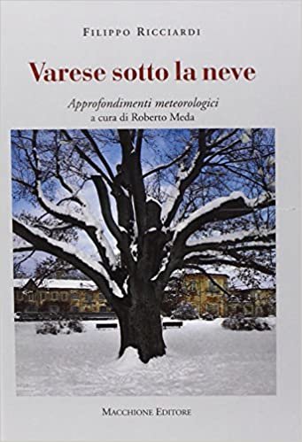 Varese sotto la neve