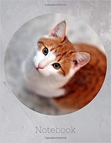 Notebook: Ginger Cat Gifts For Kitty Lovers
