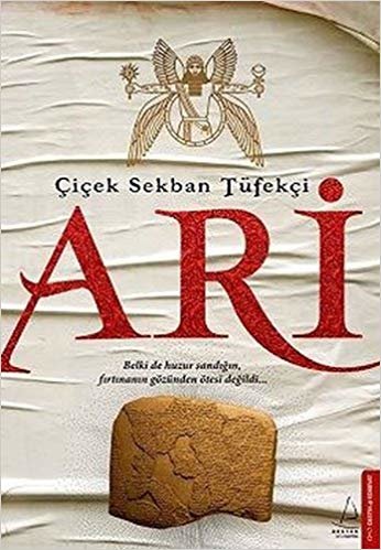 Ari: Belki de huzur sandığın, fırtınanın gözünden ötesi değildi...