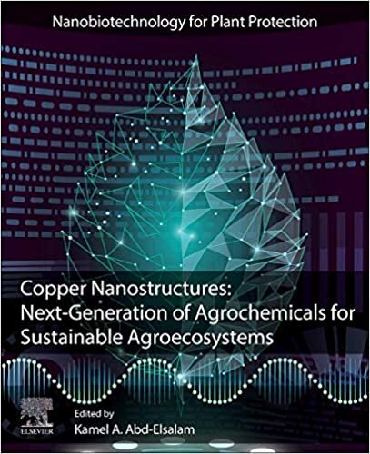 Copper Nanostructures: Next-Generation of Agrochemicals for Sustainable Agroecosystems (Nanobiotechnology for Plant Protection)