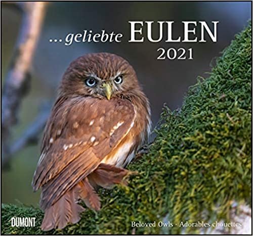 Geliebte Eulen 2021 - DuMont Wandkalender indir
