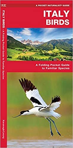 Kavanagh, J: Italy Birds (A Pocket Naturalist Guide)