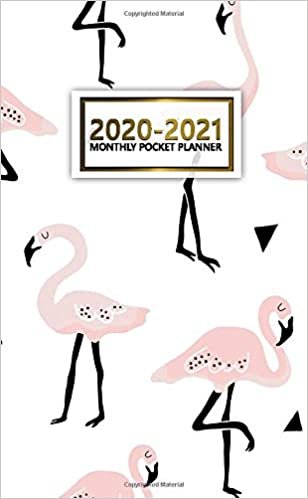 2020-2021 Monthly Pocket Planner: 2 Year Pocket Monthly Organizer & Calendar | Cute Two-Year (24 months) Agenda With Phone Book, Password Log and Notebook | Nifty Flamingo & Geometric Print indir