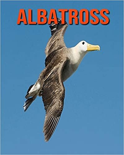 Albatross: Amazing Pictures and Facts About Albatross indir