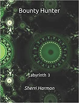 Bounty Hunter: Labyrinth 3