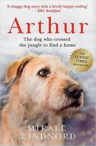 Arthur: The dog who crossed the jungle to find a home indir