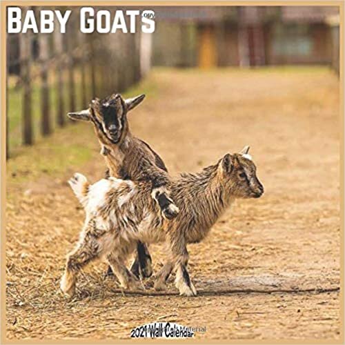 Baby Goats 2021 Wall Calendar: Official Pet Goats Calendar 2021 indir