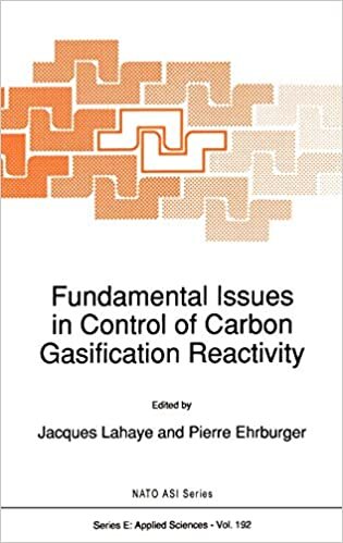 Fundamental Issues in Control of Carbon Gasification Reactivity: Workshop Proceedings (Nato Science Series E:)