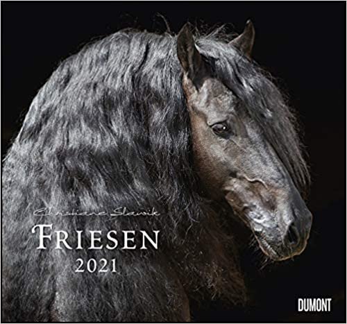 Friesen 2021 – Edle Pferde – Fotografiert von Christiane Slawik – DUMONT-Wandkalender – Format 38,0 x 35,5 cm indir