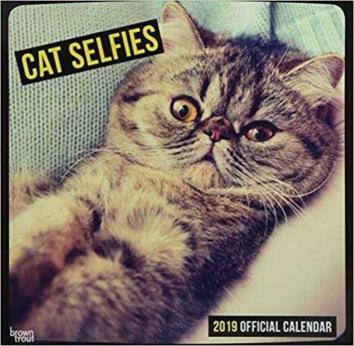 Cat Selfies - Katzen-Selfies 2019: Original BrownTrout-Kalender - Slimeline indir