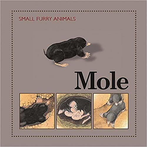 Mole (Small Furry Animals)