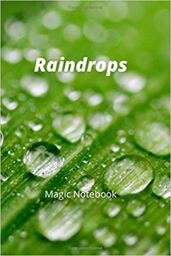 Raindrops: Raindrops Notebook, Journal, Diary (110 Pages, Blank, 6 x 9)