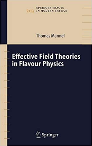 Effective Field Theories in Flavour Physics (Springer Tracts in Modern Physics (203), Band 203)
