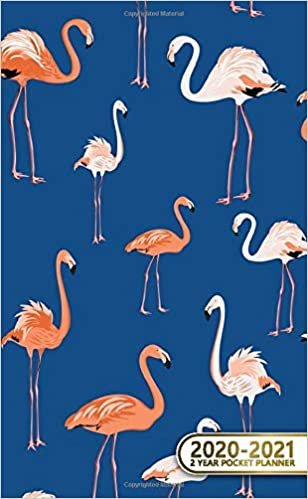 2020-2021 2 Year Pocket Planner: Pretty Two-Year (24 Months) Monthly Pocket Planner & Agenda | 2 Year Organizer with Phone Book, Password Log & Notebook | Cute Exotic Flamingo Pattern