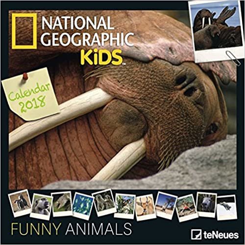 2018 National Geographic Funny Animals Calendar - teNeues Grid Calendar - Photography Calendar - 30 x 30 cm