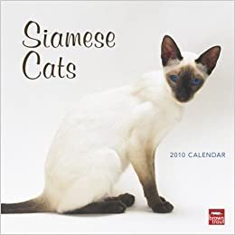 Siamese Cats 2010