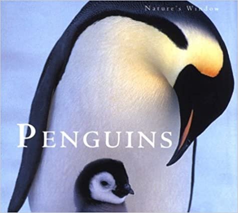 Penguins (Nature's Window)