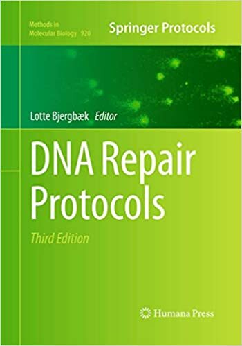 DNA Repair Protocols (Methods in Molecular Biology)