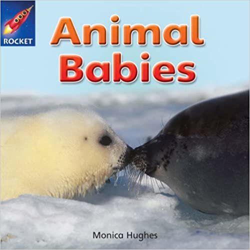 Rigby Star Independent Reception Yellow Non Fiction Animal Babies Single