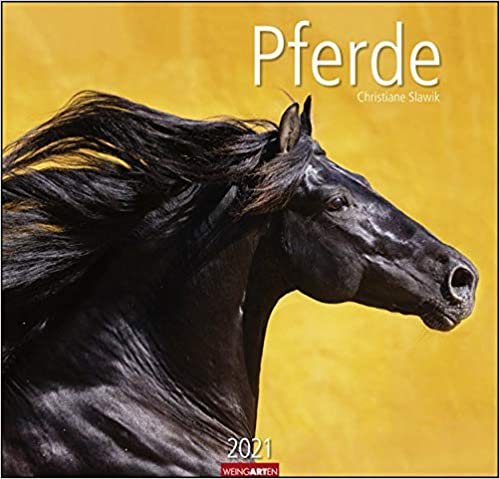 Pferde - Kalender 2021
