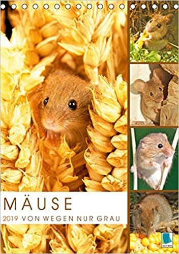 Zauberhafte Mäuse: Von wegen nur Grau (Tischkalender 2019 DIN A5 hoch): Die Maus: Possierlicher Plagegeist (Monatskalender, 14 Seiten )