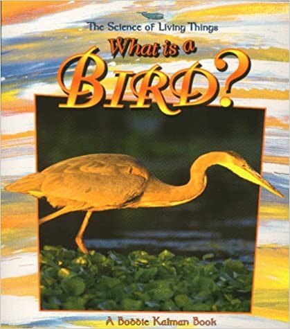 What is a Bird? (Science of Living Things) (The Science of Living Things)
