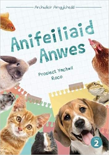 Cyfres Archwilio'r Amgylchedd: Anifeiliaid Anwes