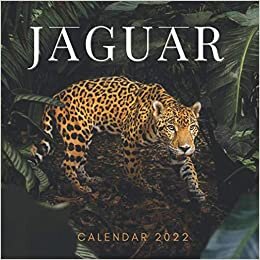 Jaguar 2022 Calendar: Special gifts for all ages and genders with 18-month Mini Calendar 2022 indir