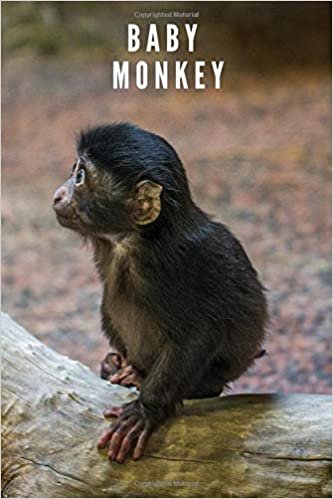 Baby Monkey: Animal Notebook for Coloring Drawing and Writing (110 Pages, Unlined, 6 x 9) (Animal Notebook)