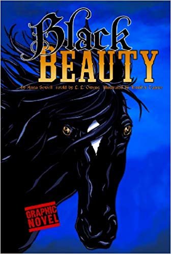 Graphic Revolve - Black Beauty