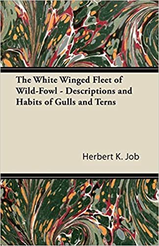 The White Winged Fleet of Wild-Fowl - Descriptions and Habits of Gulls and Terns