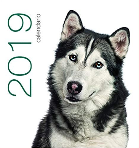 Calendrier de table 2019. Chiens indir